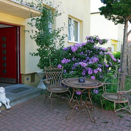 Cozy Souterrain-Half-Basement-Apartment Included 2 Bicycles Berlin Zewnętrze zdjęcie